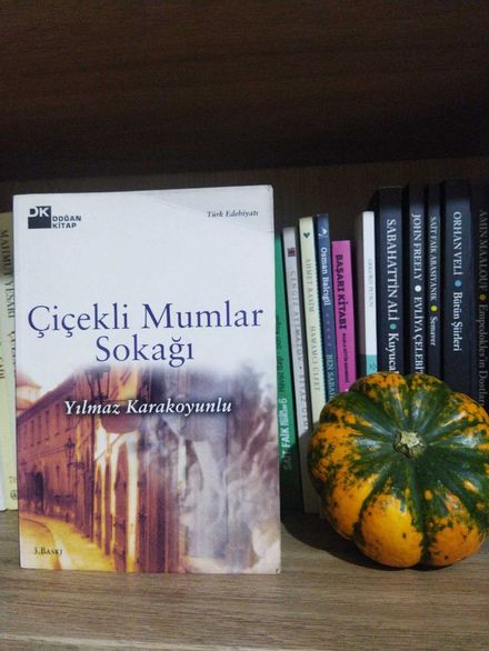 Çiçekli Mumlar Sokağı Kitabı