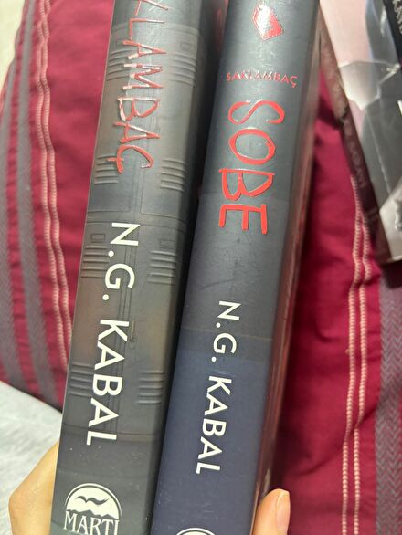 İki Kitap Seti: saklambaç & Sobe