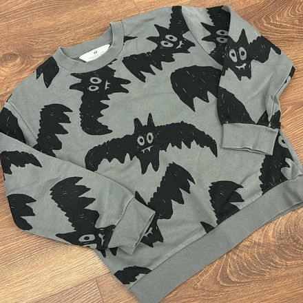 Erkek çocuk H&M gri Sweatshirt