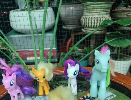 My Little Pony Figür Seti