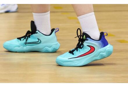 Nike Basketbol Ayakkabısı