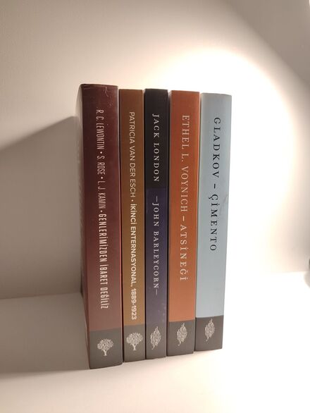 5 kitap yordam yayınları