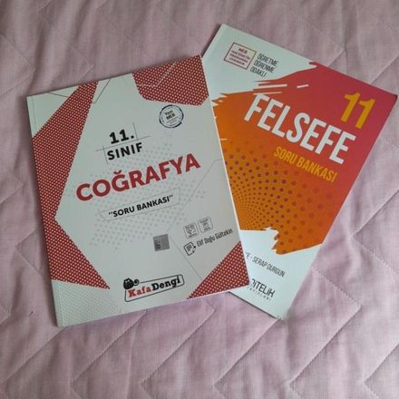 11.sınıf Kafa dengi ve Nitelik yayınları