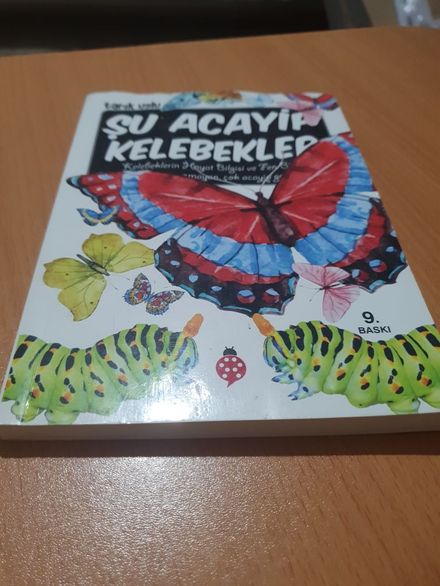 Şu Acayip Kelebekler