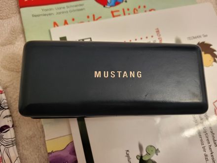 Mustang erkek güneş gözlüğü