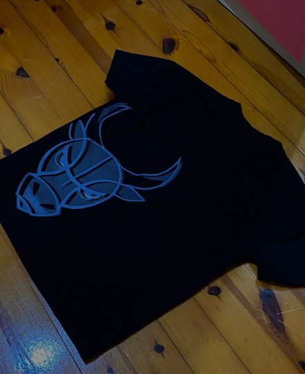 Chicago bulls T-Shirt