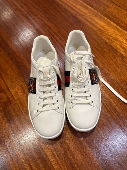 Gucci sneaker