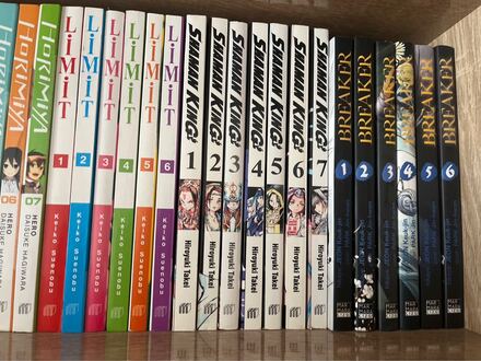 Shaman King manga
