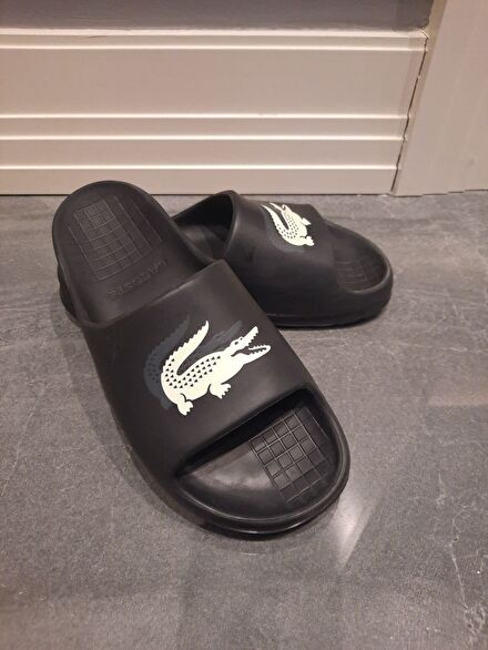 Lacoste Croco Evo Erkek Terlik