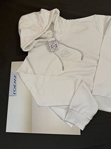 Loewe sweatshirt