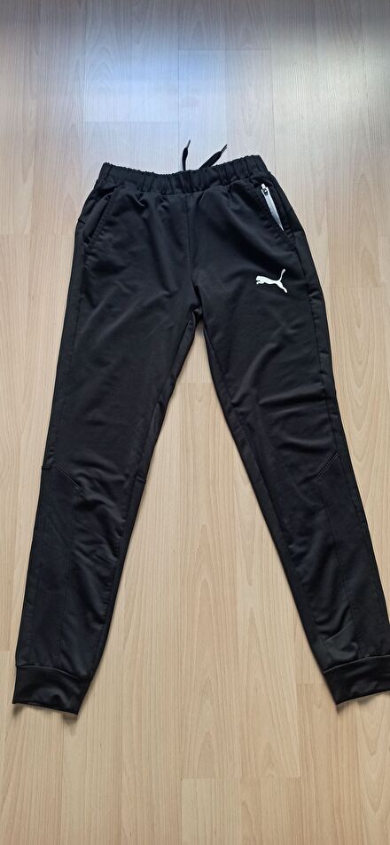 Puma alt erkek eşofmann