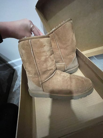 Uzun chestnut ugg