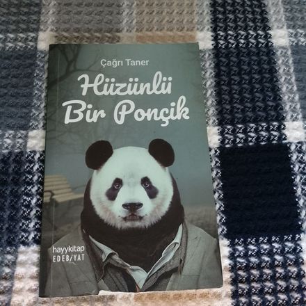 Çağrı Taner - Hüzünlü Bir Ponçik