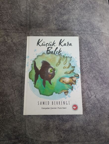 Küçük Kara Balık Kitabı