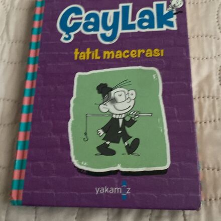 Çaylak Tatil Macerası Çocuk Kitabı