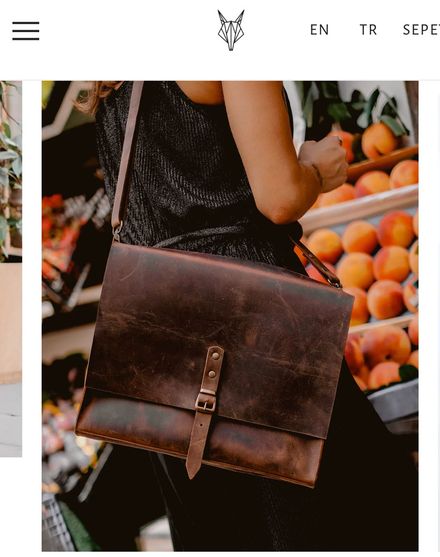 The north fox messenger bag