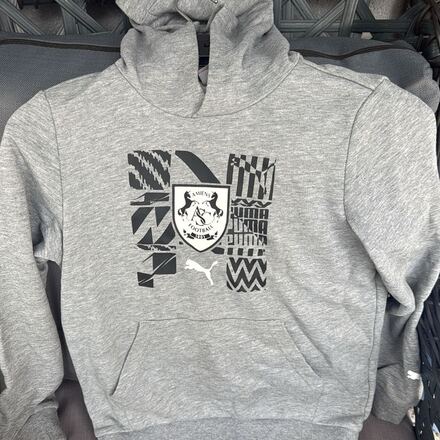 Puma Amiens Kapüşonlu Gri Sweatshirt