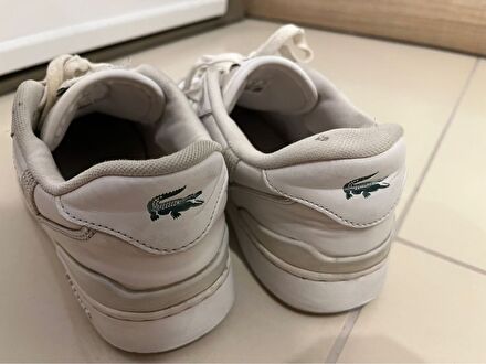 lacoste ayakkabı