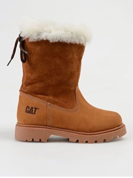 Cat Bot