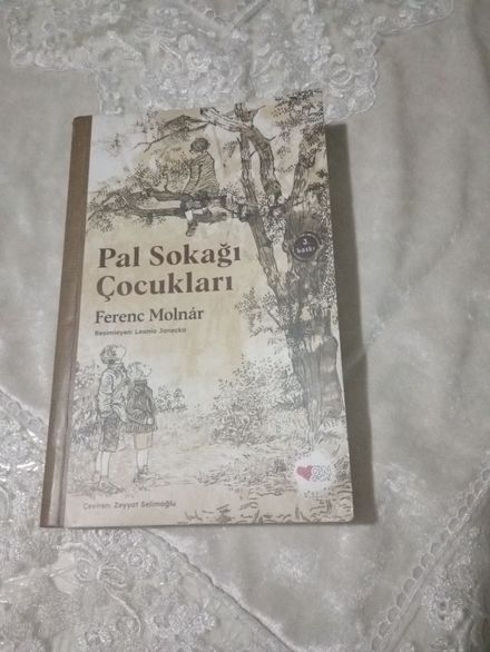 Pal Sokağı Çocukları