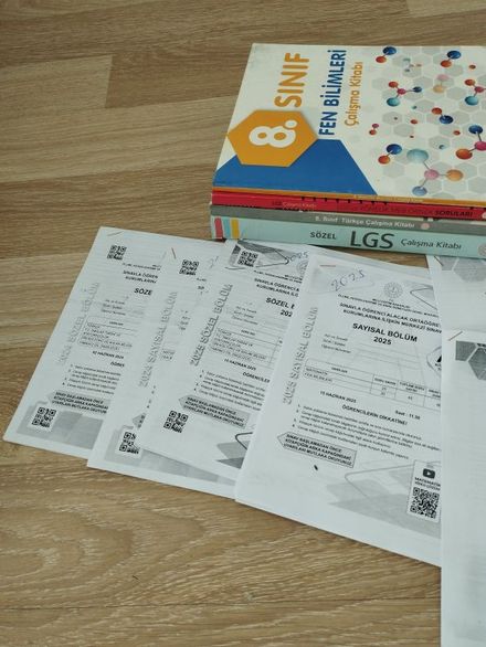 8.sınıf LGS meb örnek sorular