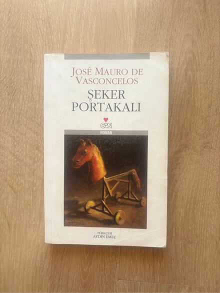 Şeker Portakalı Roman Kitap