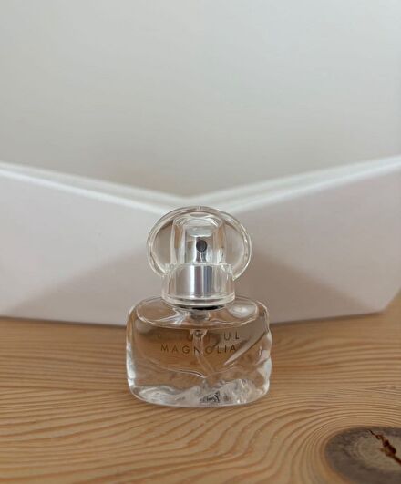 Estee Lauder Beautiful Magnolia