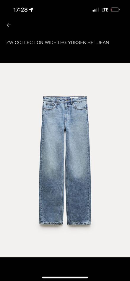 Zara Wide Leg Jean
