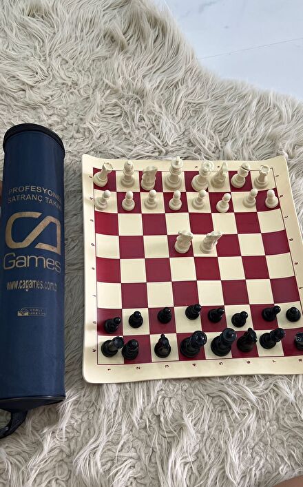 Profesyonel Satranç Takımı