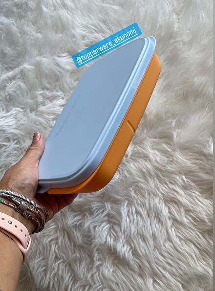 #tupperware mango beslenme