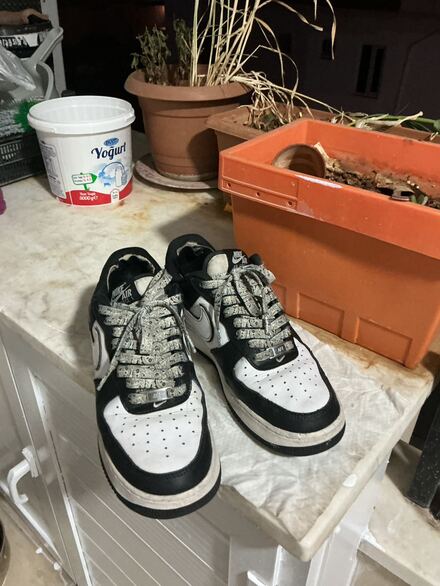Nike panda air force