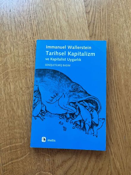 Tarihsel Kapitalizm Kitabı