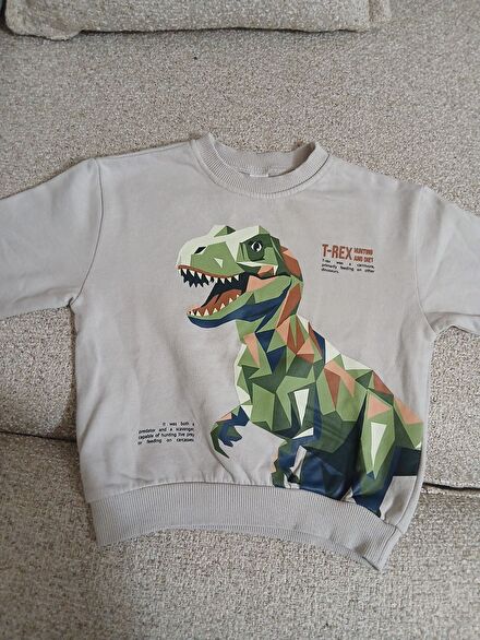 Dinozor Baskılı Sweatshirt